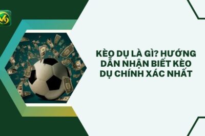 Kèo Dụ Là Gì? Hướng Dẫn Nhận Biết Kèo Dụ Chính Xác Nhất