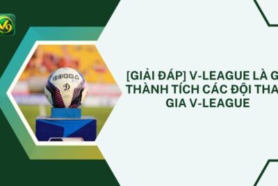 [Giải Đáp] V-League Là Gì? Thành Tích 6+ Đội Tham Gia